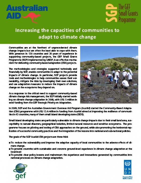 Community Capacity and Climate Change Adaptation