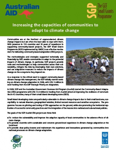 Community Capacity and Climate Change Adaptation