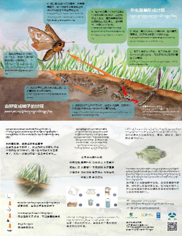 Toolkit on Sustainable Caterpillar Fungus Management
